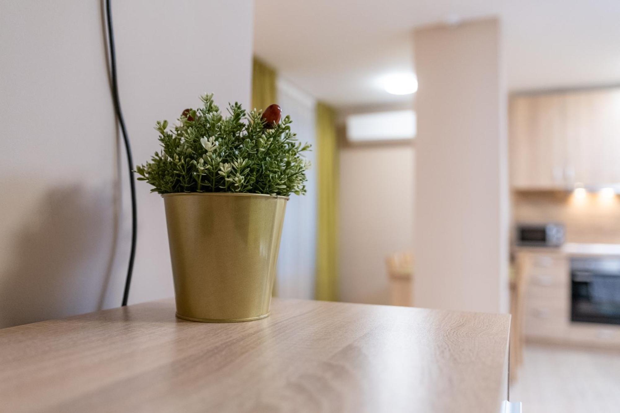 1-bed Apartment